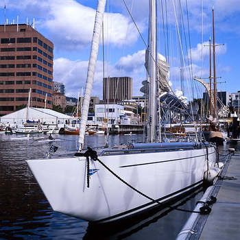 Small Sail Cruiser 3d, Clearwater Boat Tours Quest