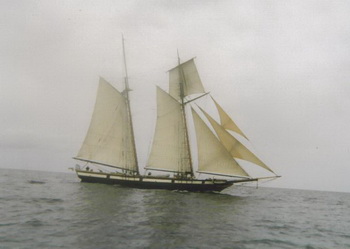 Wooden Kitchen Materials 3d Models, Sailing Catamarans For Sale Yachtworld Quest, Class 10 Maths Ncert Book Ch 2 Answ